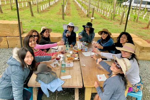 Mt Tamborine Wine Tour - Mackay Tourism 14