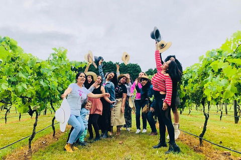 Mt Tamborine Wine Tour - Mackay Tourism 18