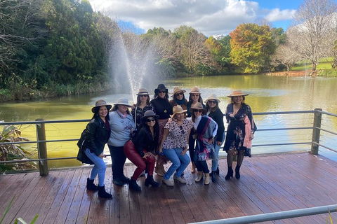 Mt Tamborine Wine Tour - Mackay Tourism 7