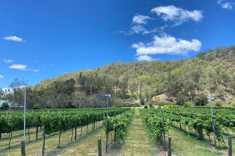 Mt Tamborine Wine Tour - Mackay Tourism 9