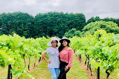 Mt Tamborine Wine Tour - Mackay Tourism 13