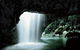 Glowworm Cave & Natural Bridge Tour - thumb 0