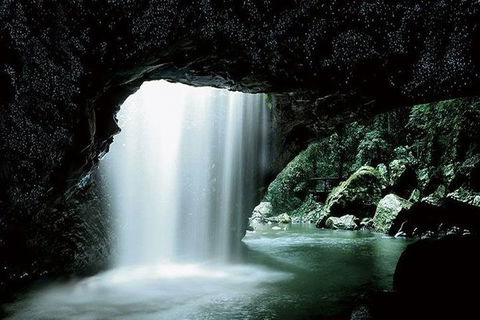 Glowworm Cave & Natural Bridge Tour - Mackay Tourism 0