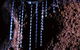 Glowworm Cave & Natural Bridge Tour - thumb 2