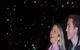 Glowworm Cave & Natural Bridge Tour - thumb 1