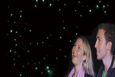 Glowworm Cave & Natural Bridge Tour - Mackay Tourism 1