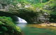 Glowworm Cave & Natural Bridge Tour - thumb 3