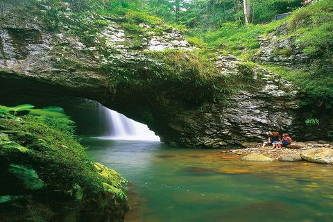 Glowworm Cave & Natural Bridge Tour - Mackay Tourism 3