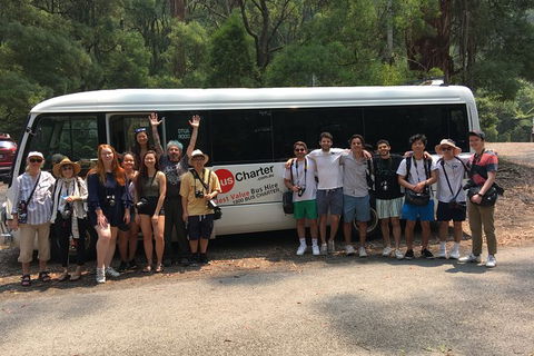 Private 24 Seat Mini Bus CBD To Brisbane Airport Transfer - Mackay Tourism 4