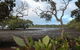Private Full-Day Guided Tour With Workshop: Karragarra And Macleay Island - thumb 28