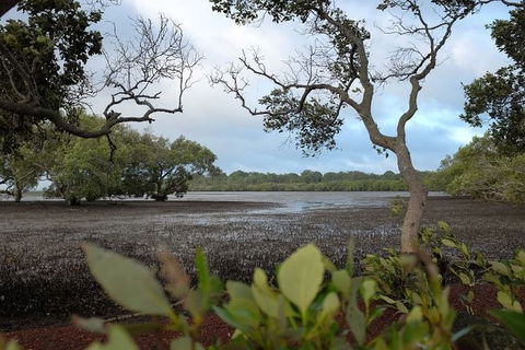 Private Full-Day Guided Tour With Workshop: Karragarra And Macleay Island - Mackay Tourism 28