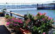 Private Full-Day Guided Tour With Workshop: Karragarra And Macleay Island - thumb 23
