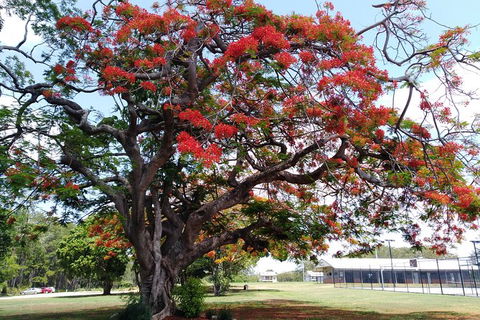 Private Full-Day Guided Tour With Workshop: Karragarra And Macleay Island - Mackay Tourism 29