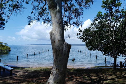 Private Full-Day Guided Tour With Workshop: Karragarra And Macleay Island - Mackay Tourism 2