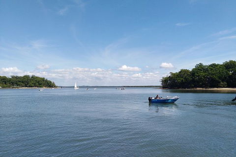 Private Full-Day Guided Tour With Workshop: Karragarra And Macleay Island - Mackay Tourism 13