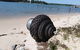 Private Full-Day Guided Tour With Workshop: Karragarra And Macleay Island - thumb 6