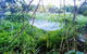 Private Full-Day Guided Tour With Workshop: Karragarra And Macleay Island - thumb 11