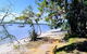 Private Full-Day Guided Tour With Workshop: Karragarra And Macleay Island - thumb 21