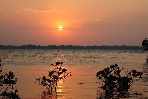 Private Full-Day Guided Tour With Workshop: Karragarra And Macleay Island - Mackay Tourism 0