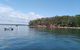 Private Full-Day Guided Tour: Russell Lamb Macleay And Karragarra Islands - thumb 0