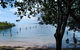 Private Full-Day Guided Tour: Russell Lamb Macleay And Karragarra Islands - thumb 6