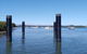 Private Full-Day Guided Tour: Russell Lamb Macleay And Karragarra Islands - thumb 13