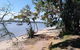 Private Full-Day Guided Tour: Russell Lamb Macleay And Karragarra Islands - thumb 11