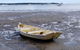 Private Full-Day Guided Tour: Russell Lamb Macleay And Karragarra Islands - thumb 9