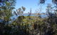 Private Full-Day Guided Tour: Russell Lamb Macleay And Karragarra Islands - thumb 22