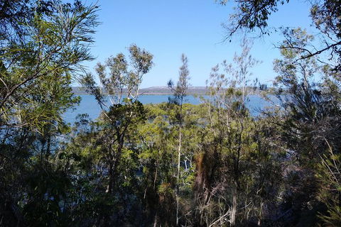 Private Full-Day Guided Tour: Russell Lamb Macleay And Karragarra Islands - Mackay Tourism 22