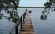 Private Full-Day Guided Tour: Russell Lamb Macleay And Karragarra Islands - thumb 4