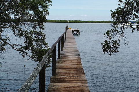 Private Full-Day Guided Tour: Russell Lamb Macleay And Karragarra Islands - Mackay Tourism 4
