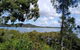 Private Full-Day Guided Tour: Russell Lamb Macleay And Karragarra Islands - thumb 31