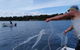Private Full-Day Guided Tour: Russell Lamb Macleay And Karragarra Islands - thumb 21