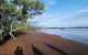 Private Full-Day Guided Tour: Russell Lamb Macleay And Karragarra Islands - thumb 12