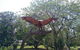 Private Full-Day Guided Tour: Russell Lamb Macleay And Karragarra Islands - thumb 19