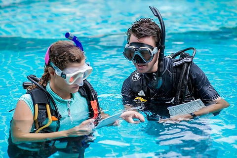 PADI Diving Courses On The Gold Coast - Mackay Tourism 0