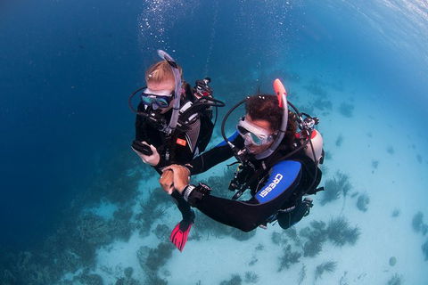 PADI Diving Courses On The Gold Coast - Mackay Tourism 5