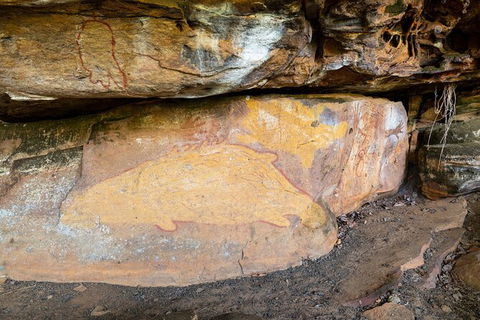 Half Day Aboriginal Rock Art Experience In Queensland - Mackay Tourism 3