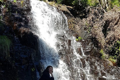 Limited Group Gold Coast Lamington National Park Tour - Mackay Tourism 7