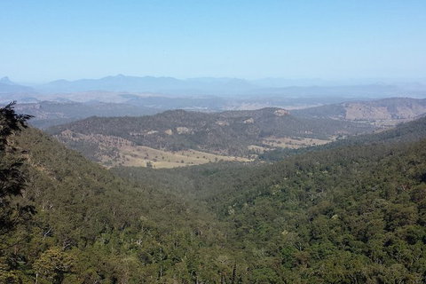 Limited Group Gold Coast Lamington National Park Tour - Mackay Tourism 1