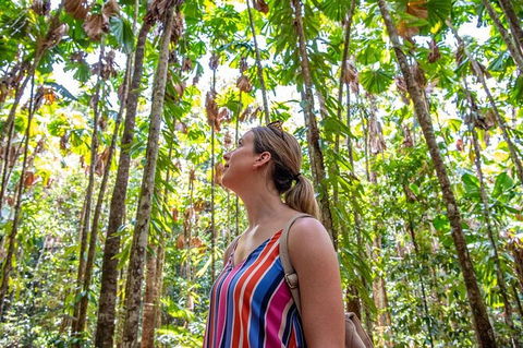 5 Day Australia Retreat: Queensland Daintree - Mackay Tourism 3