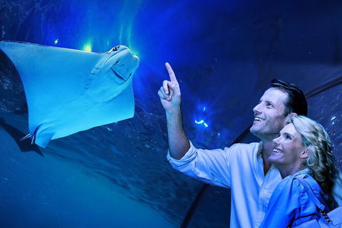 Cairns Aquarium Tour By Twilight With Drink And Appetiser - Mackay Tourism 0