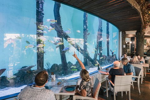 Cairns Aquarium Tour By Twilight With Drink And Appetiser - Mackay Tourism 1