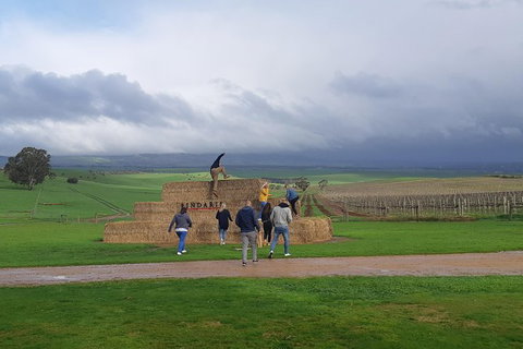 Private Wine Tour - Mackay Tourism 4