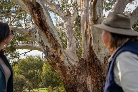 NEW TOUR - Kangaroo Island Road To Recovery Tour (1 Day/1 Night) - Mackay Tourism 2