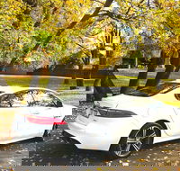 Luxury Jaguar Barossa Valley Half Day Private Tour For 2 - Mackay Tourism