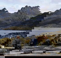 Cruise Ship Special from Burnie to Cradle Mountain - Mackay Tourism