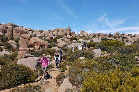 Alpine Loop - Mackay Tourism 2