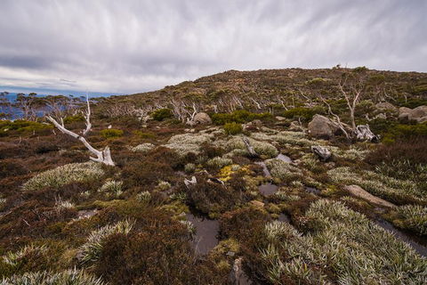 Alpine Loop - Mackay Tourism 0
